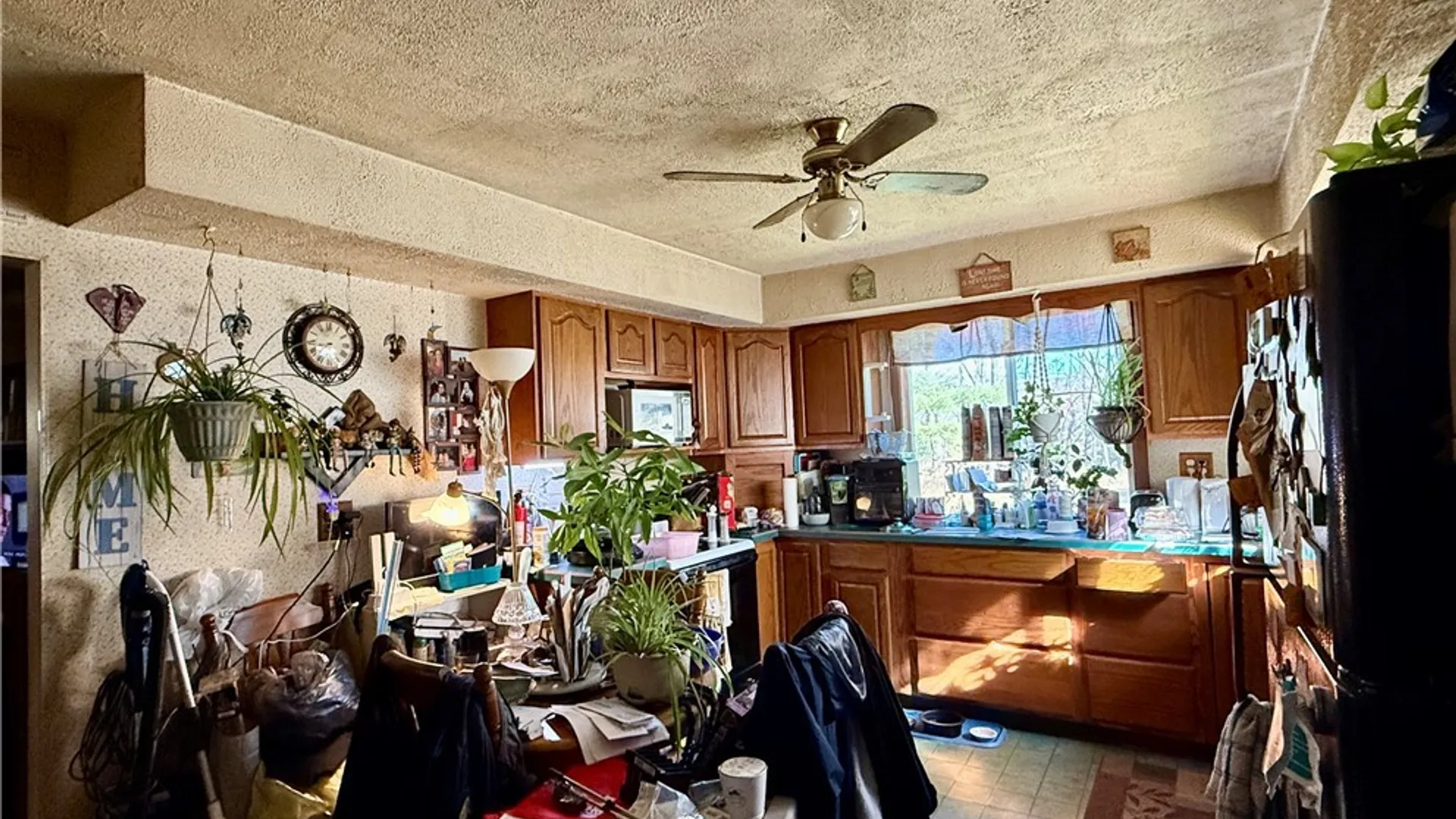 Property at 117 Pear Street, Bradford Town, PA 16701 4