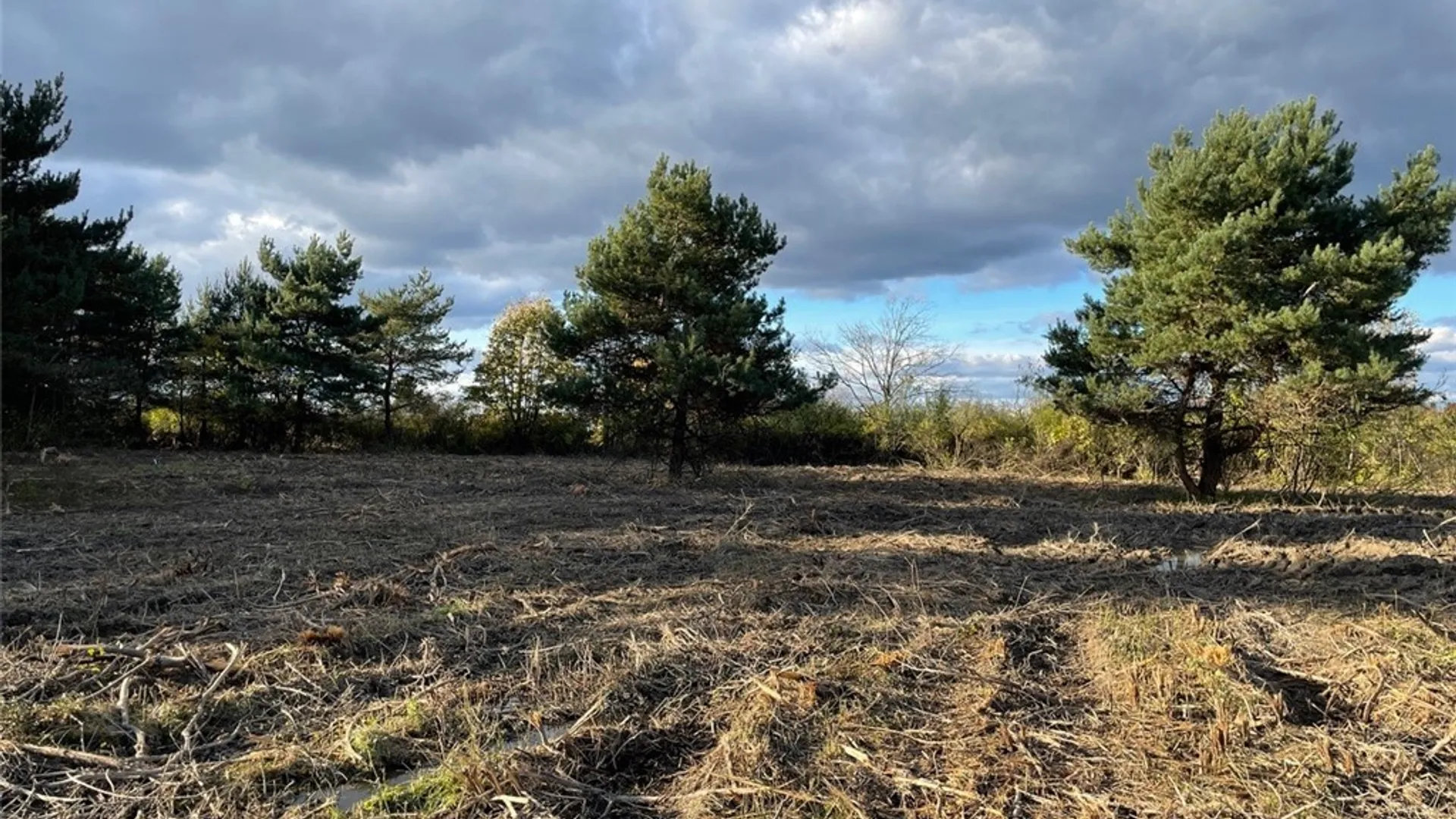 Property at 3432 Transit Road, Orchard Park, NY 14127 2
