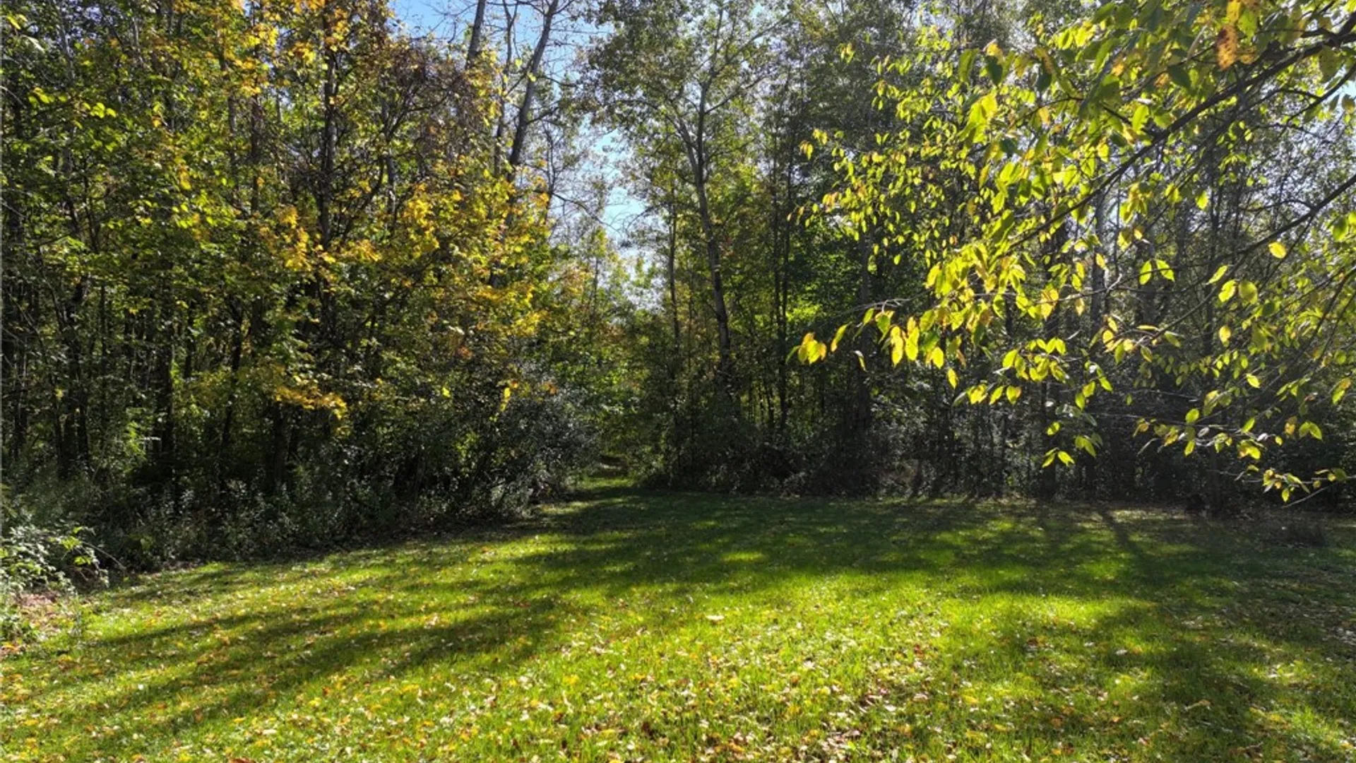 Property at 13562 Jenkins Road, Wolcott, NY 13143 4