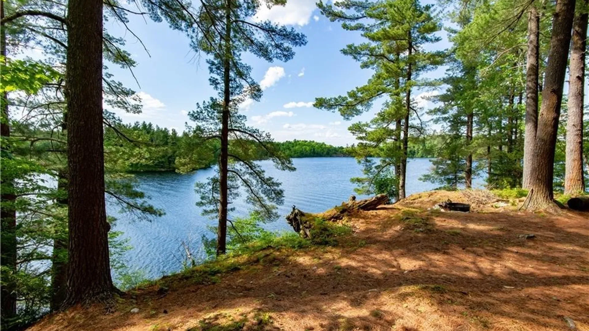 Property at 14412 Round, Diana, NY 13648 19