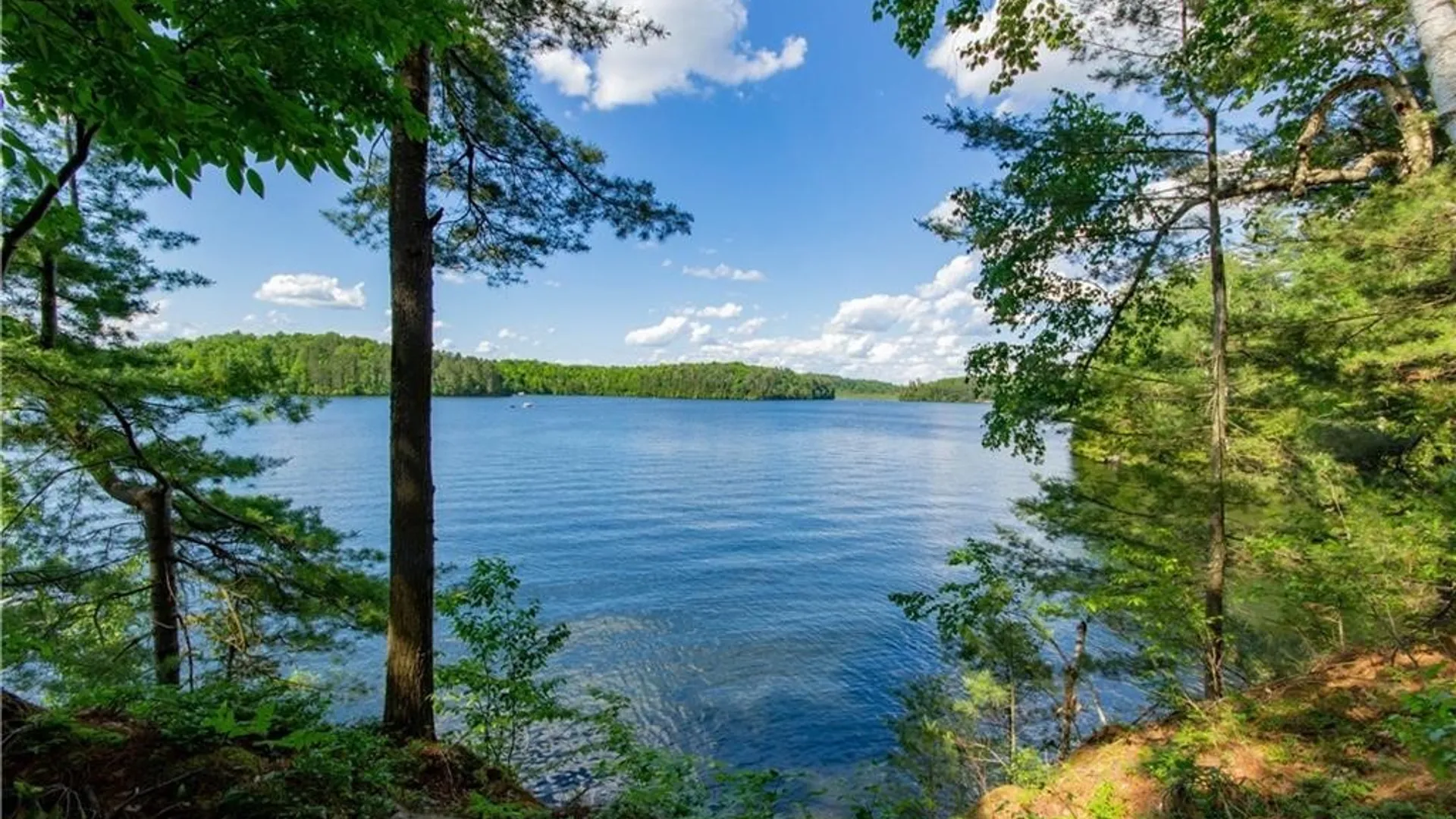 Property at 14412 Round, Diana, NY 13648 20