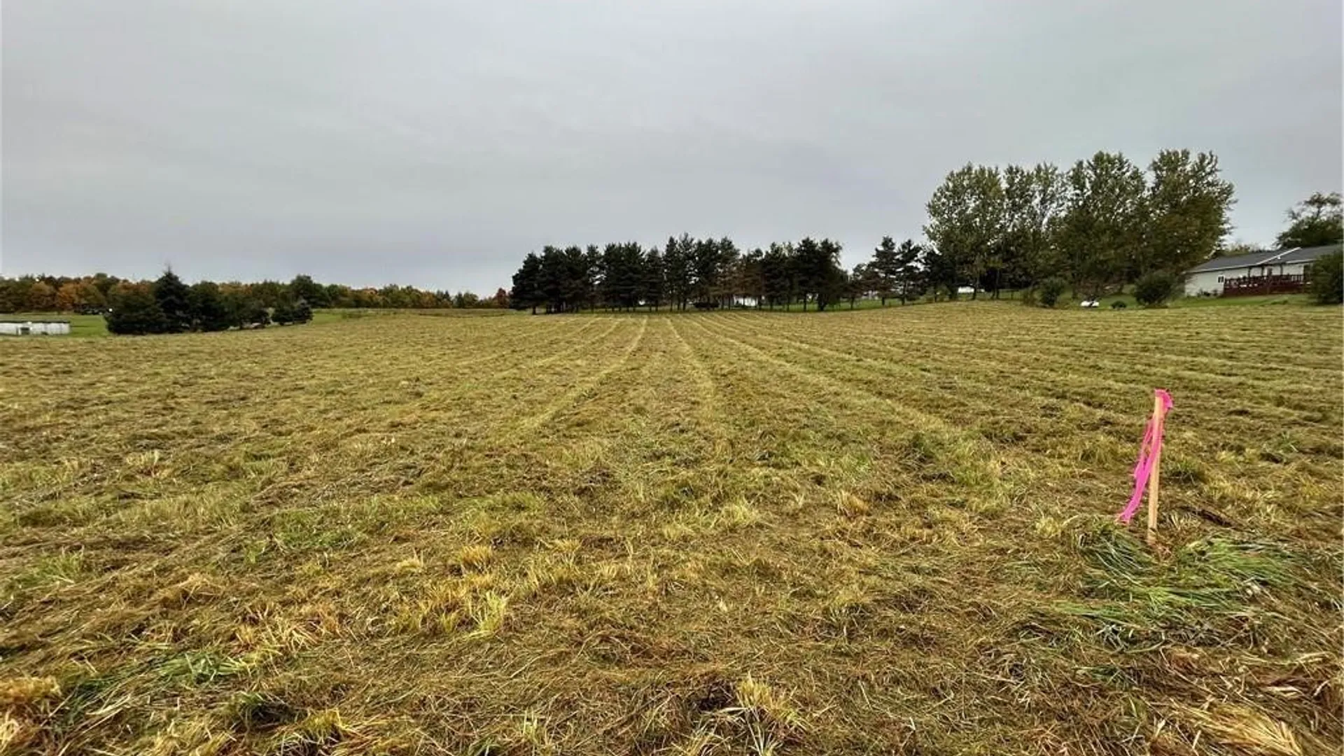 Property at 00 Plank Road, Pamelia, NY 13616 7