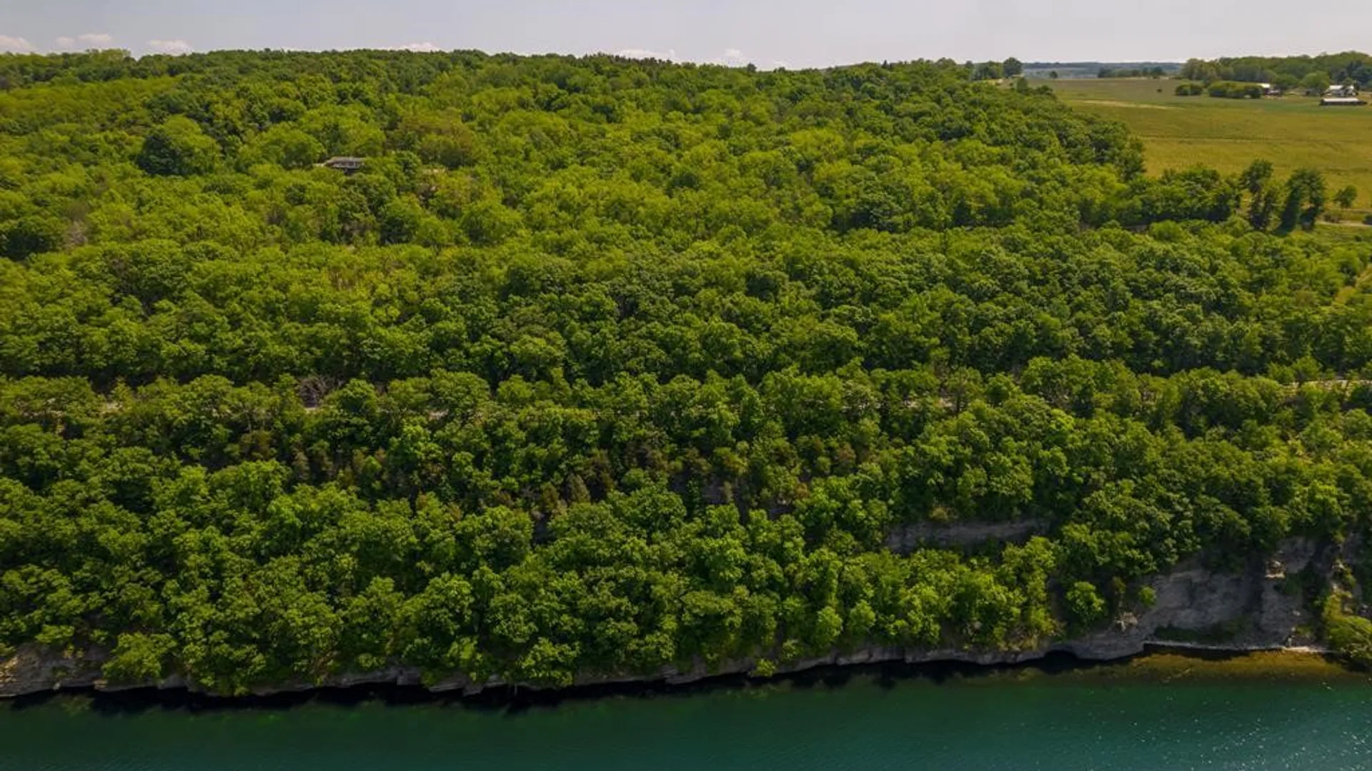 Property at 0 State Route 414, Hector, NY 14841 4