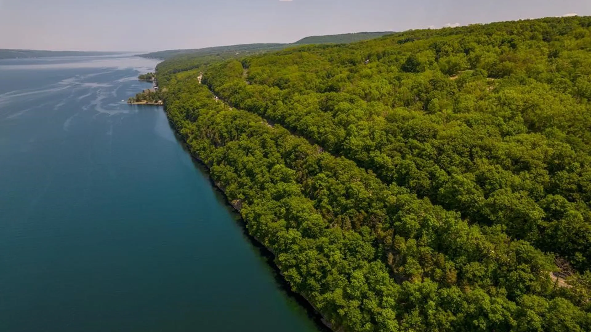 Property at 0 State Route 414, Hector, NY 14841 6