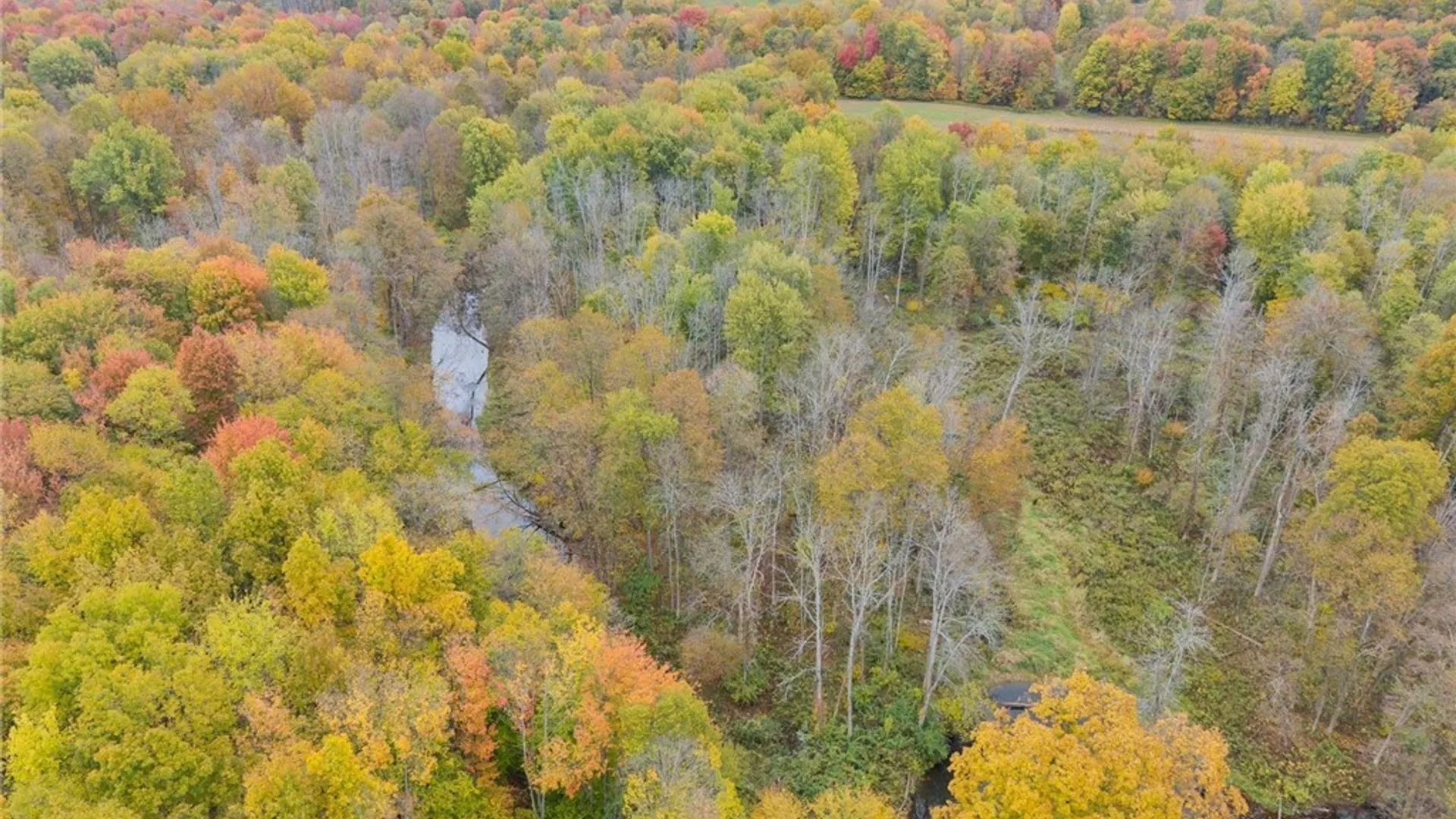 Property at 15196 State Route 104, Sterling, NY 13111 12