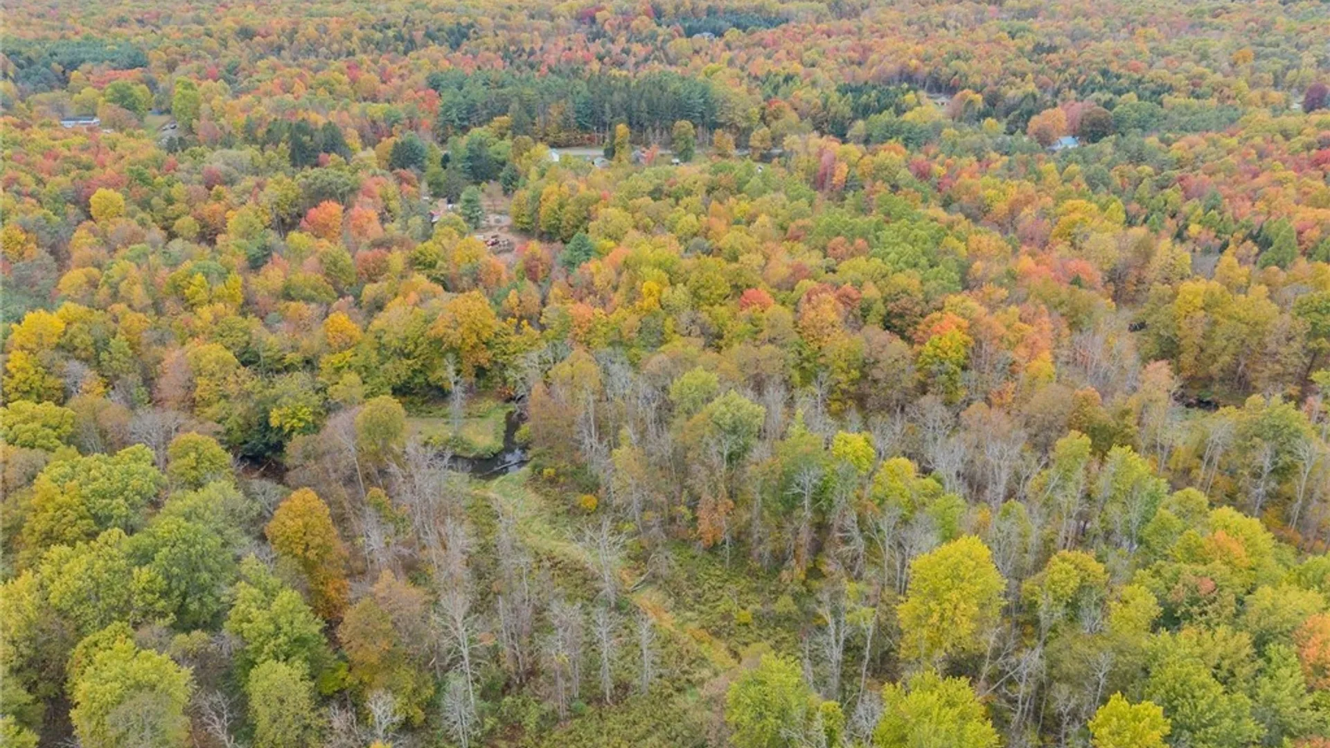 Property at 15196 State Route 104, Sterling, NY 13111 13