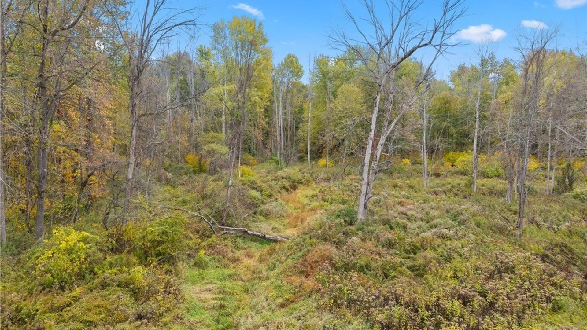 Property at 15196 State Route 104, Sterling, NY 13111 15