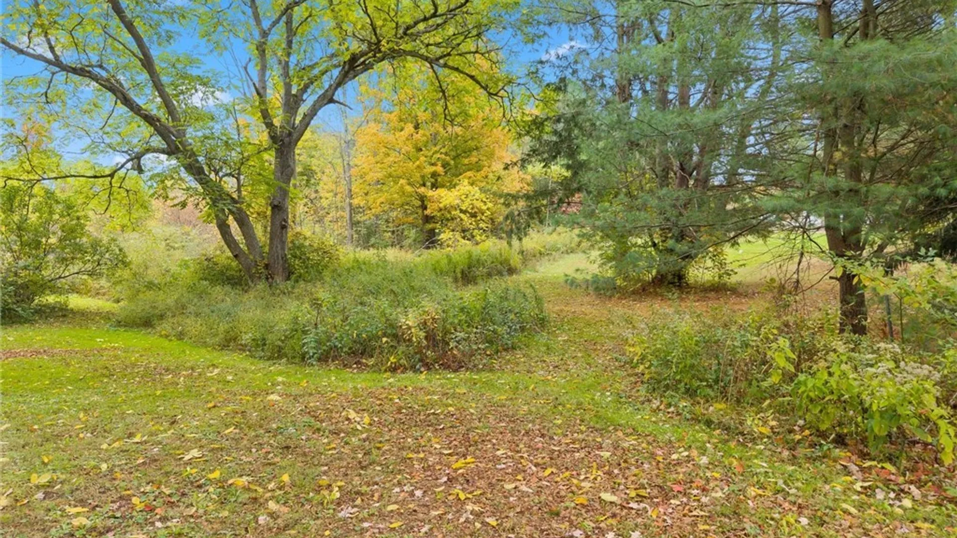 Property at 15196 State Route 104, Sterling, NY 13111 17