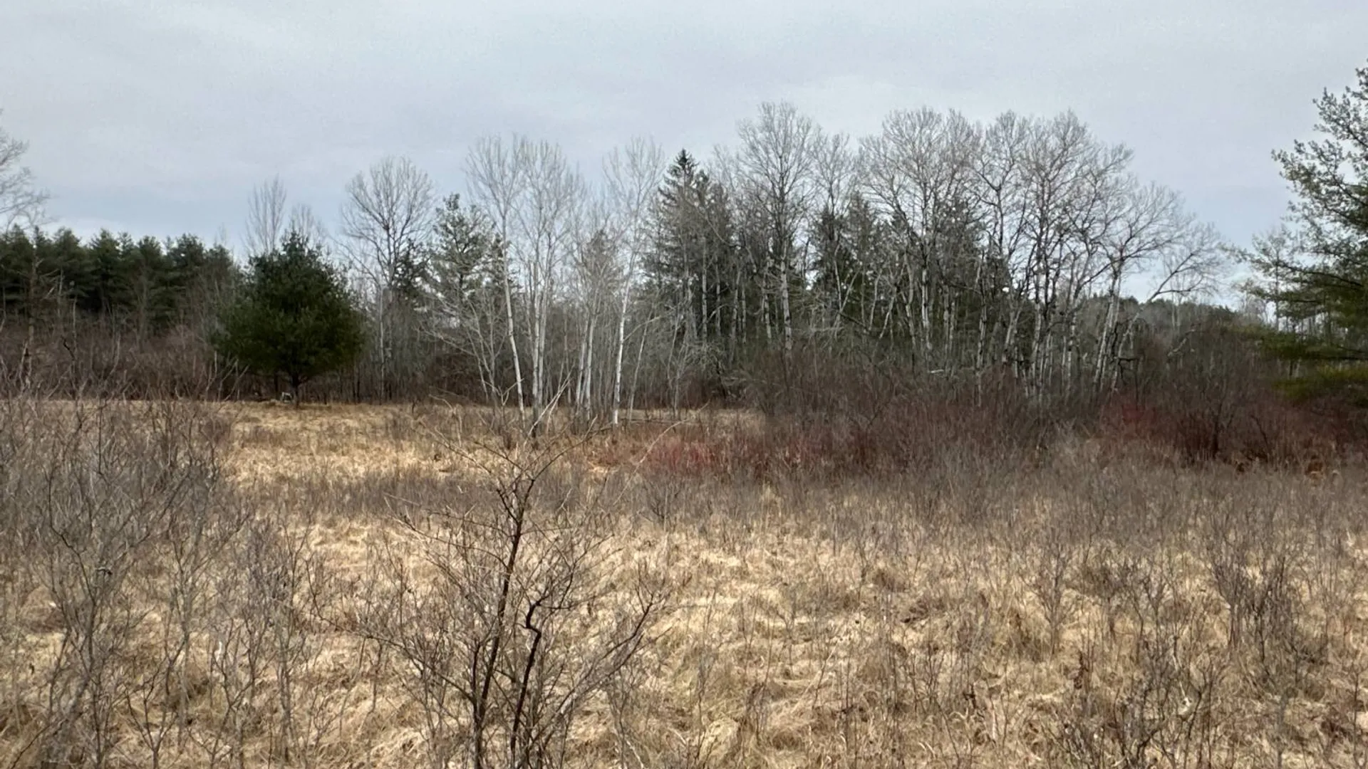 Property at 00WP Rt #32, Greenville, NY 12083 4