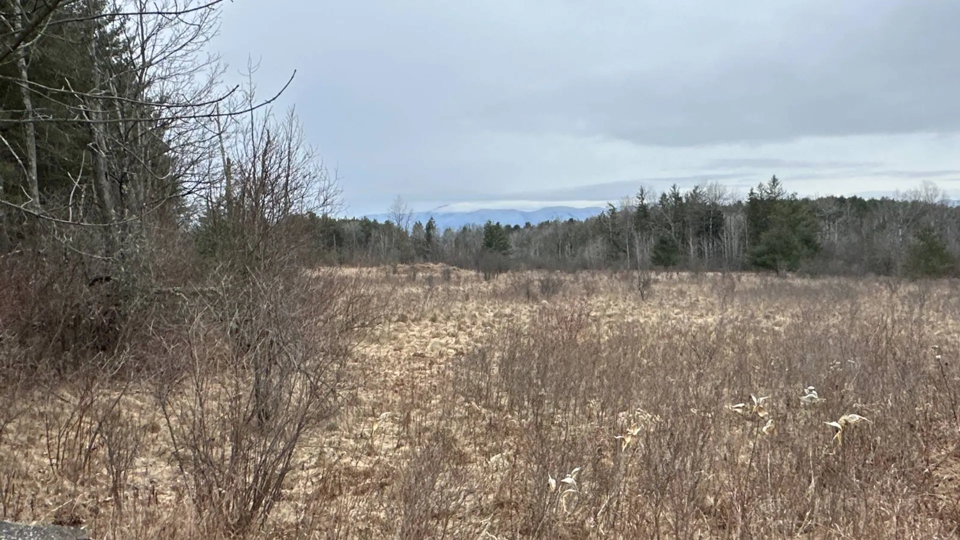 Property at 00WP Rt #32, Greenville, NY 12083 7