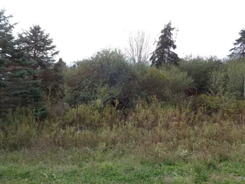 Property at Lot #4 Woodcrest Drive, Erwin, NY 14870