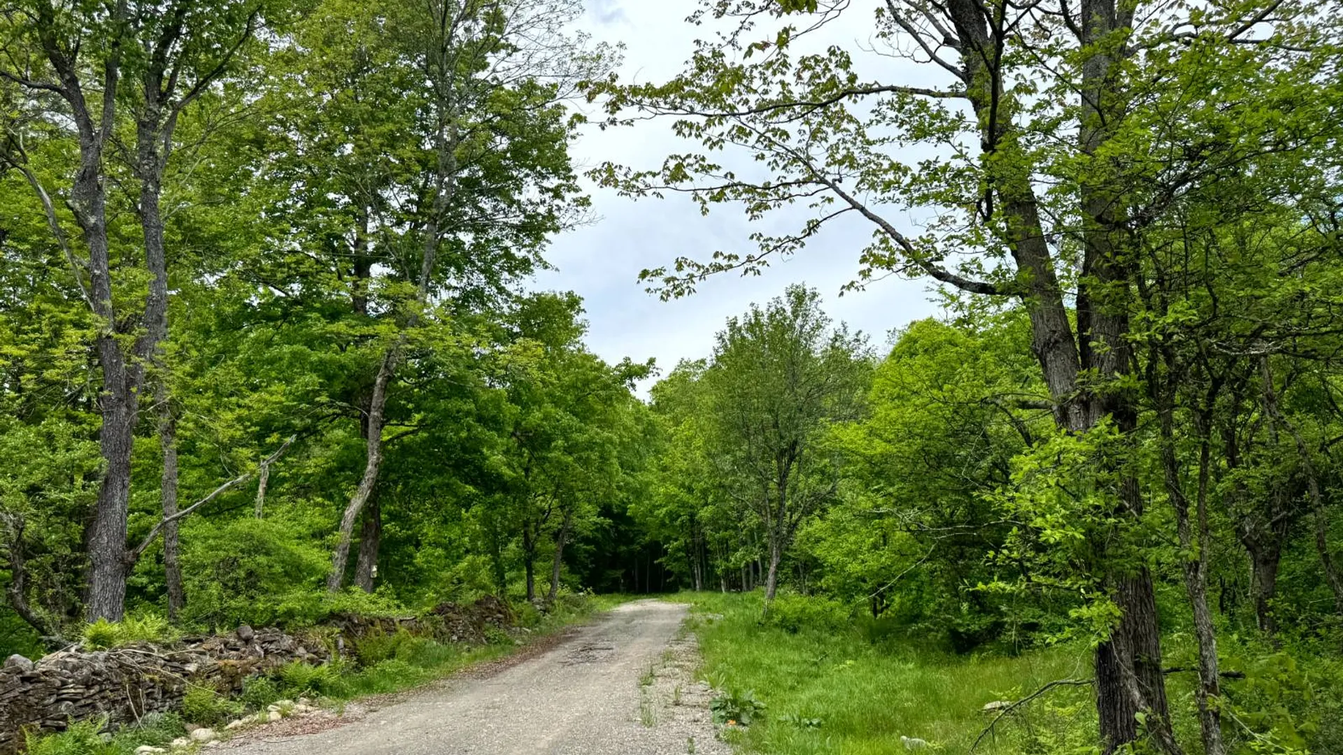 Property at 1.7 Manley Taylor Rd Ext., Florence, NY 13316 13