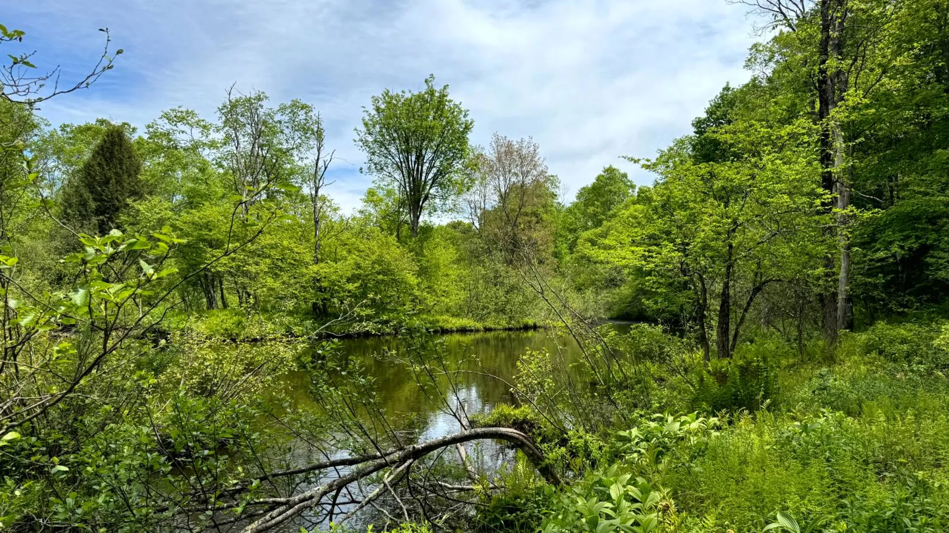 Property at 1.7 Manley Taylor Rd Ext., Florence, NY 13316 2