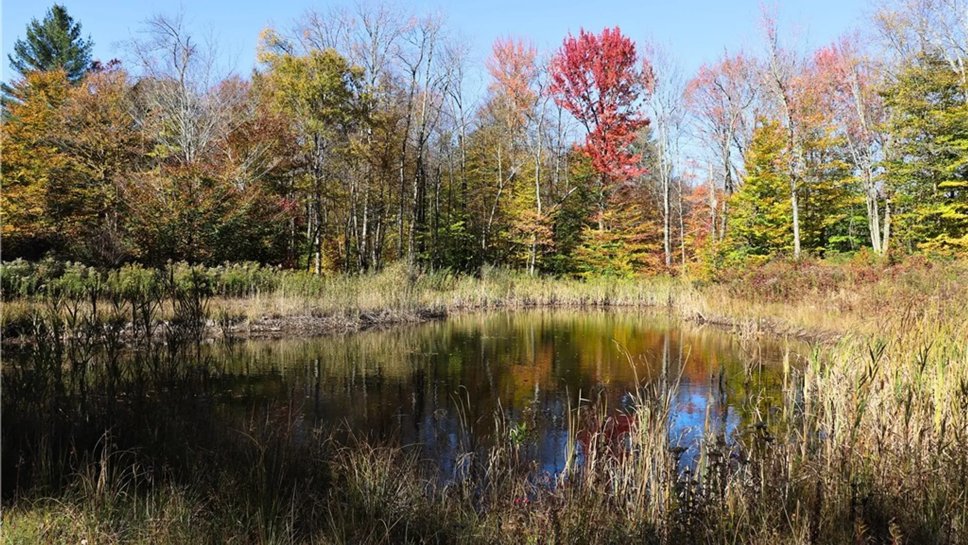 Property at 158 Fox Brook Road, Williamstown, NY 13493 33