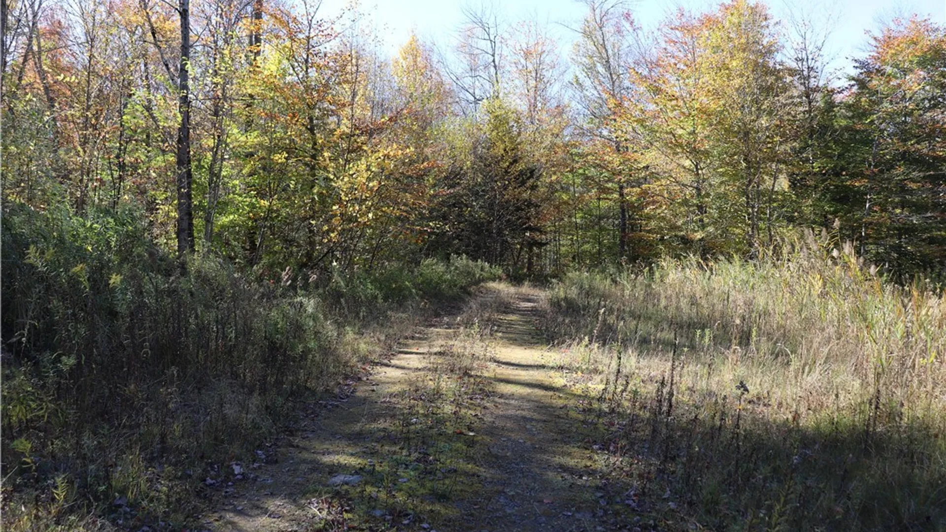 Property at 158 Fox Brook Road, Williamstown, NY 13493 35