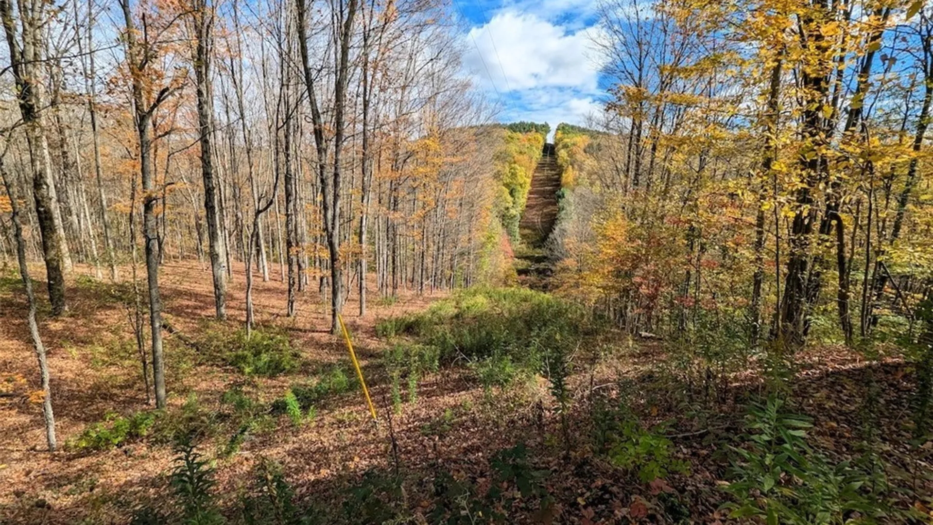 Property at Akins Road, Cohocton, NY 14826 10