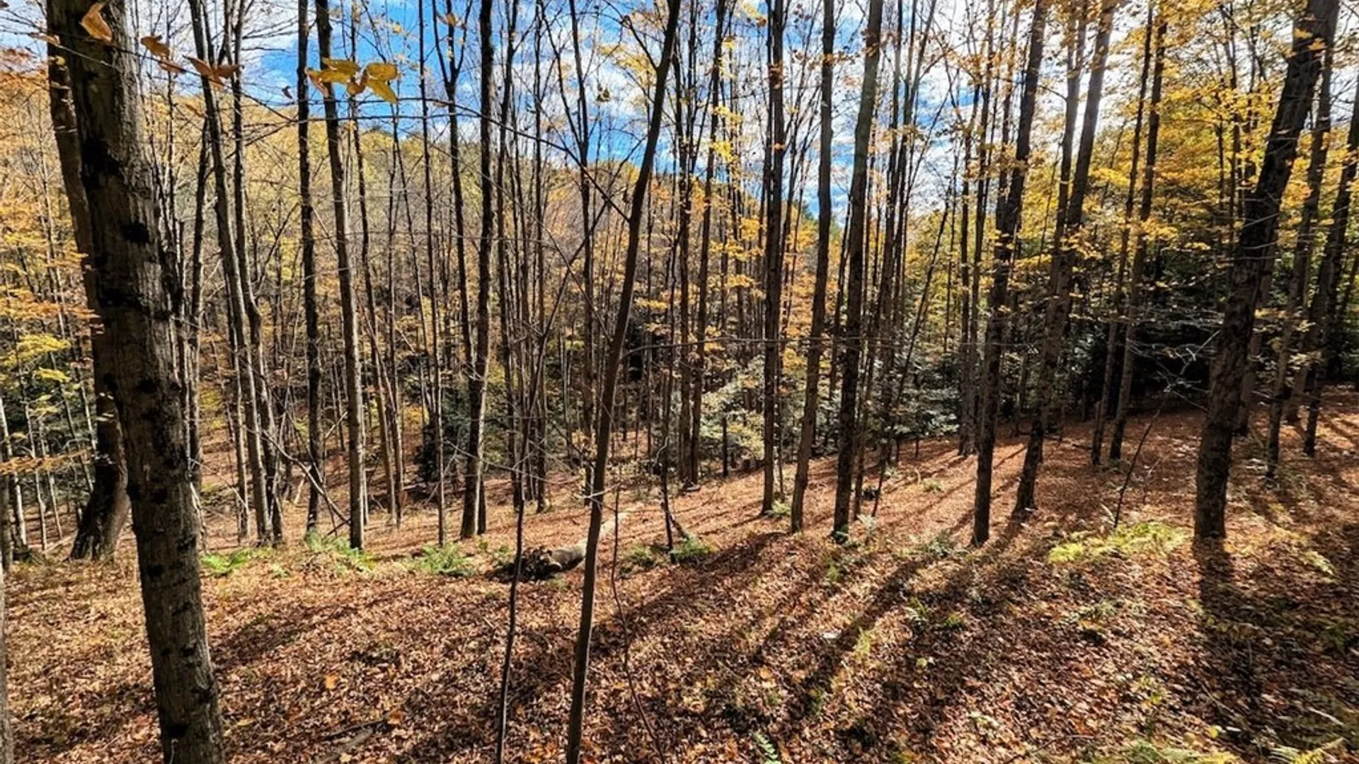 Property at Akins Road, Cohocton, NY 14826 11