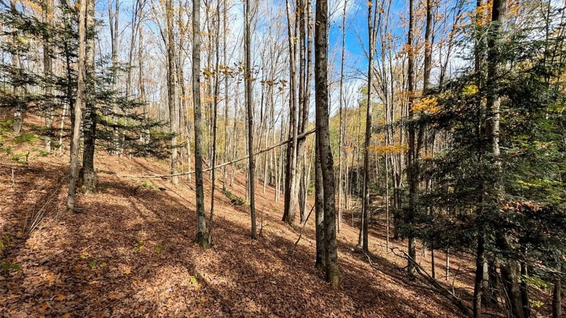 Property at Akins Road, Cohocton, NY 14826 12