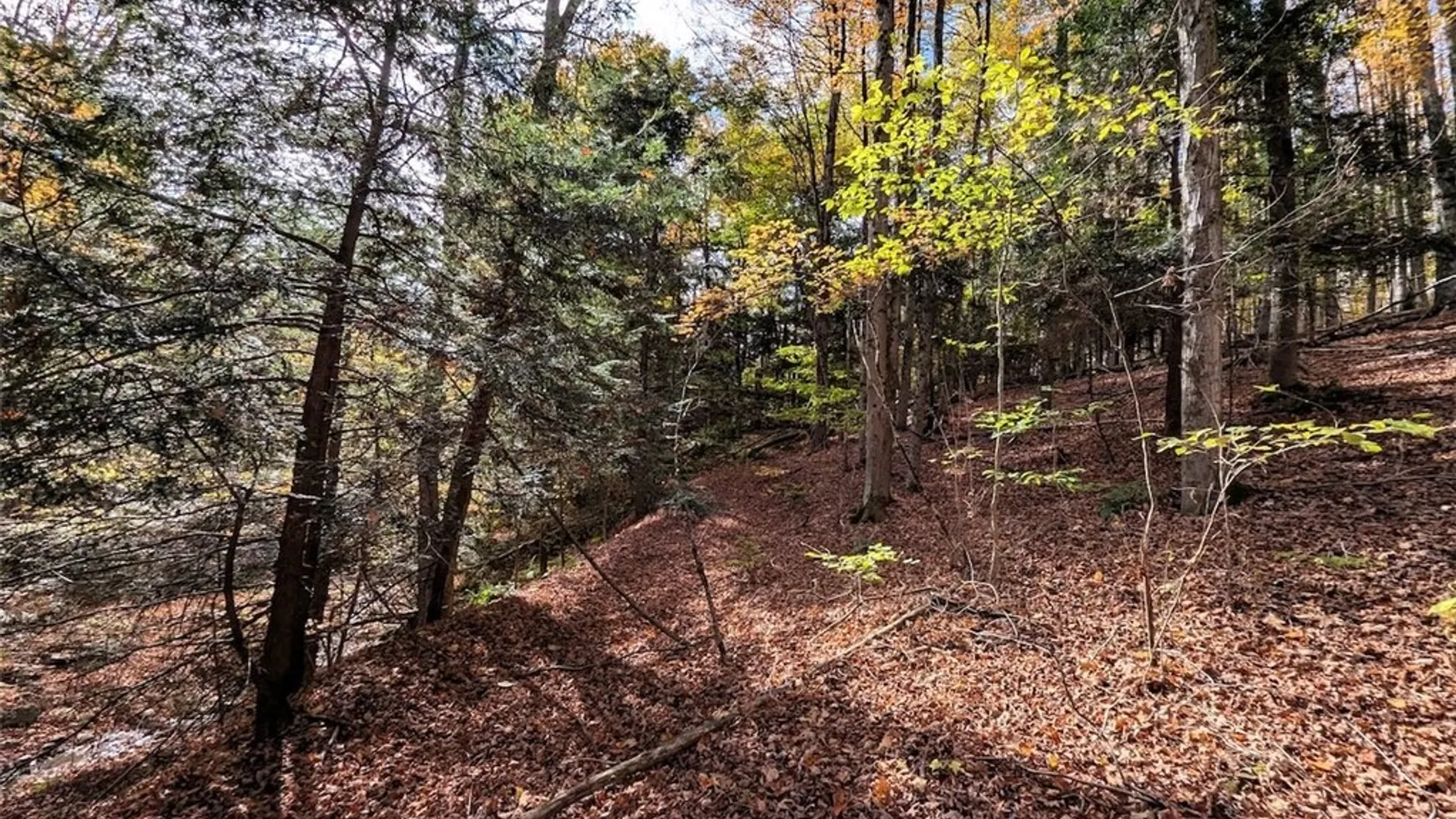 Property at Akins Road, Cohocton, NY 14826 13