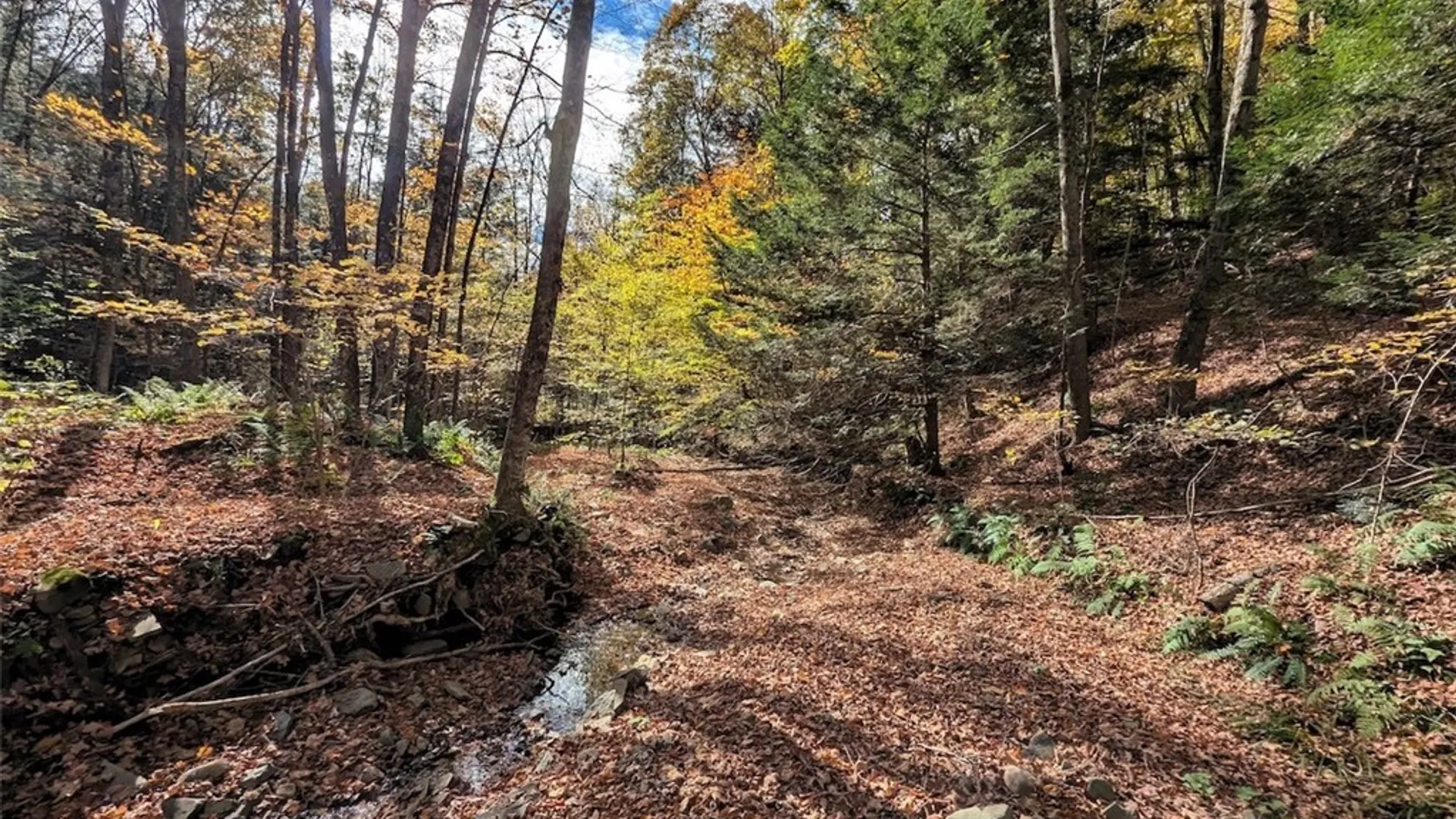 Property at Akins Road, Cohocton, NY 14826 14