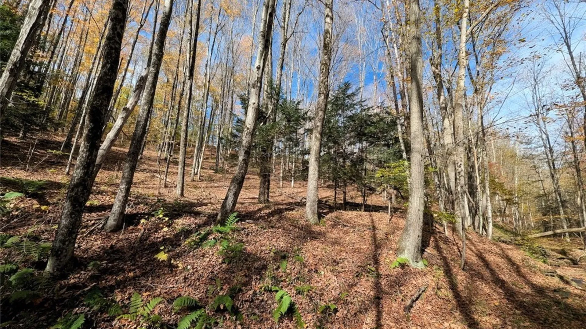 Property at Akins Road, Cohocton, NY 14826 15