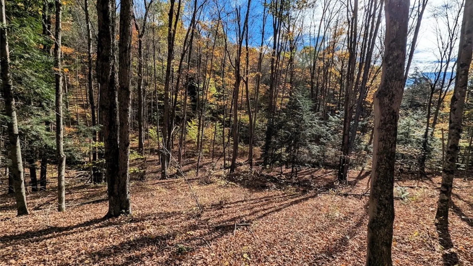 Property at Akins Road, Cohocton, NY 14826 16