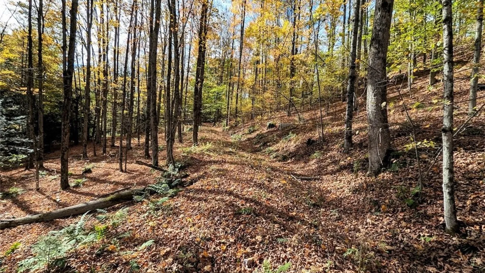 Property at Akins Road, Cohocton, NY 14826 17
