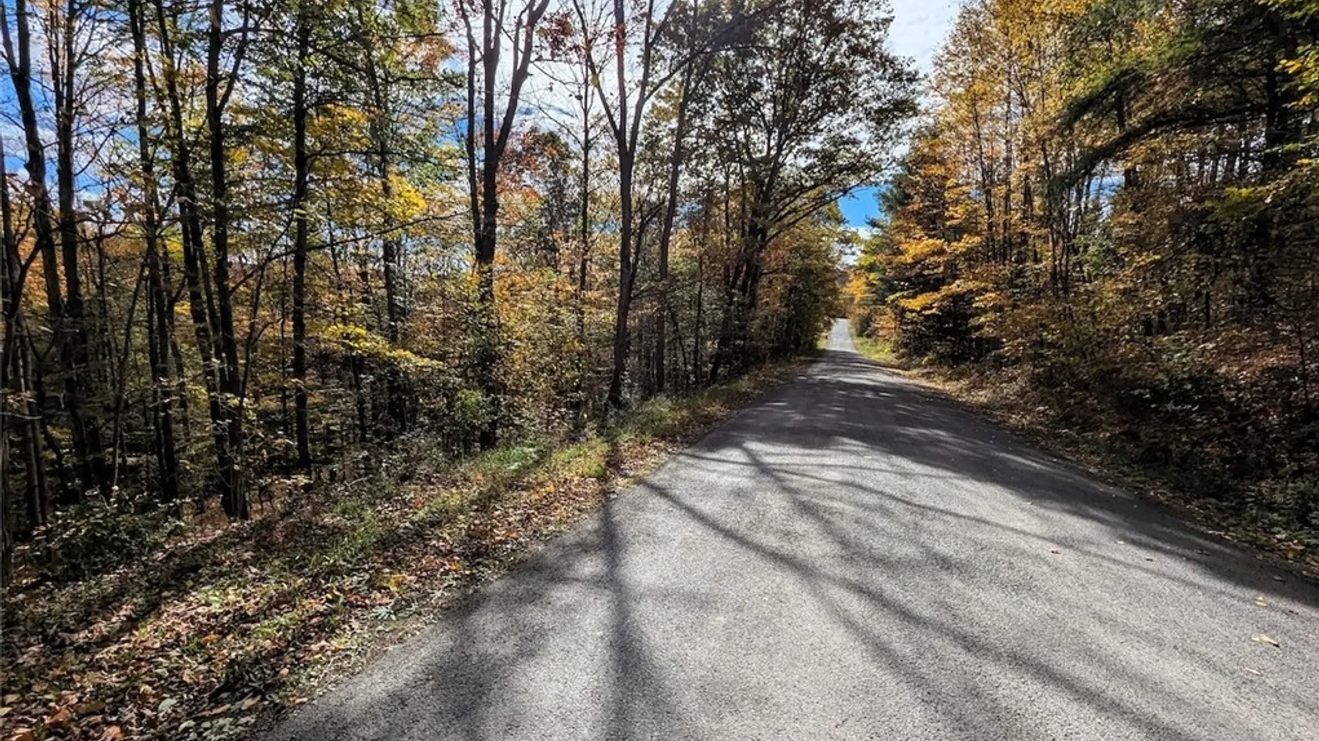 Property at Akins Road, Cohocton, NY 14826 18