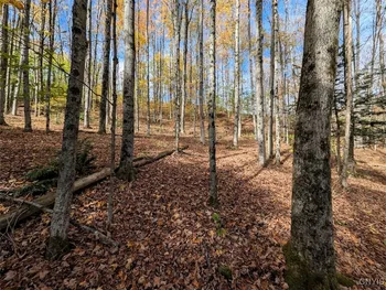 Property at Akins Road, Cohocton, NY 14826
