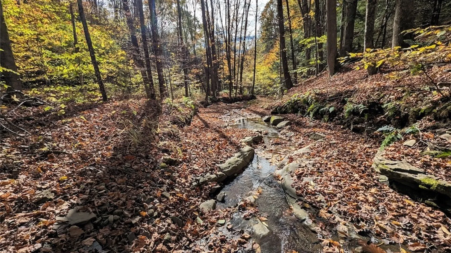 Property at Akins Road, Cohocton, NY 14826 2