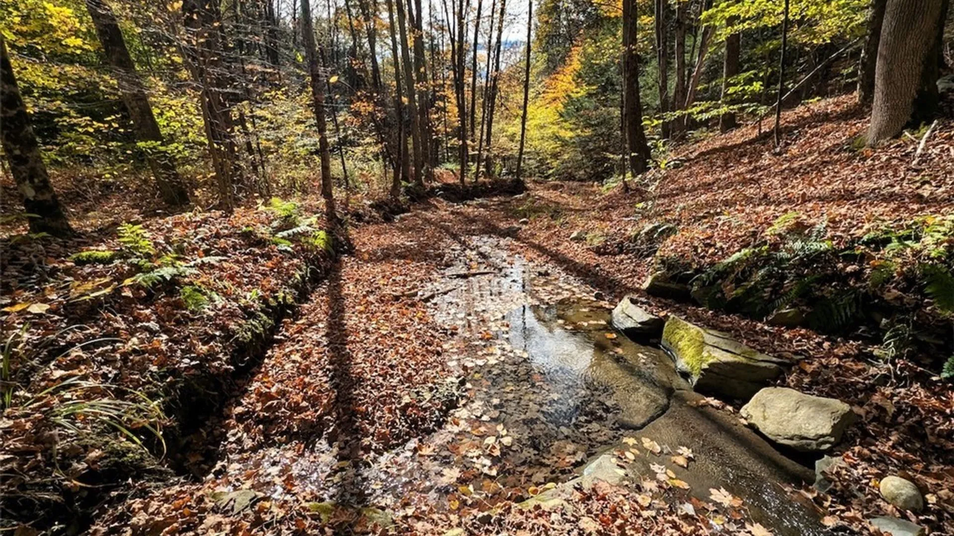 Property at Akins Road, Cohocton, NY 14826 3
