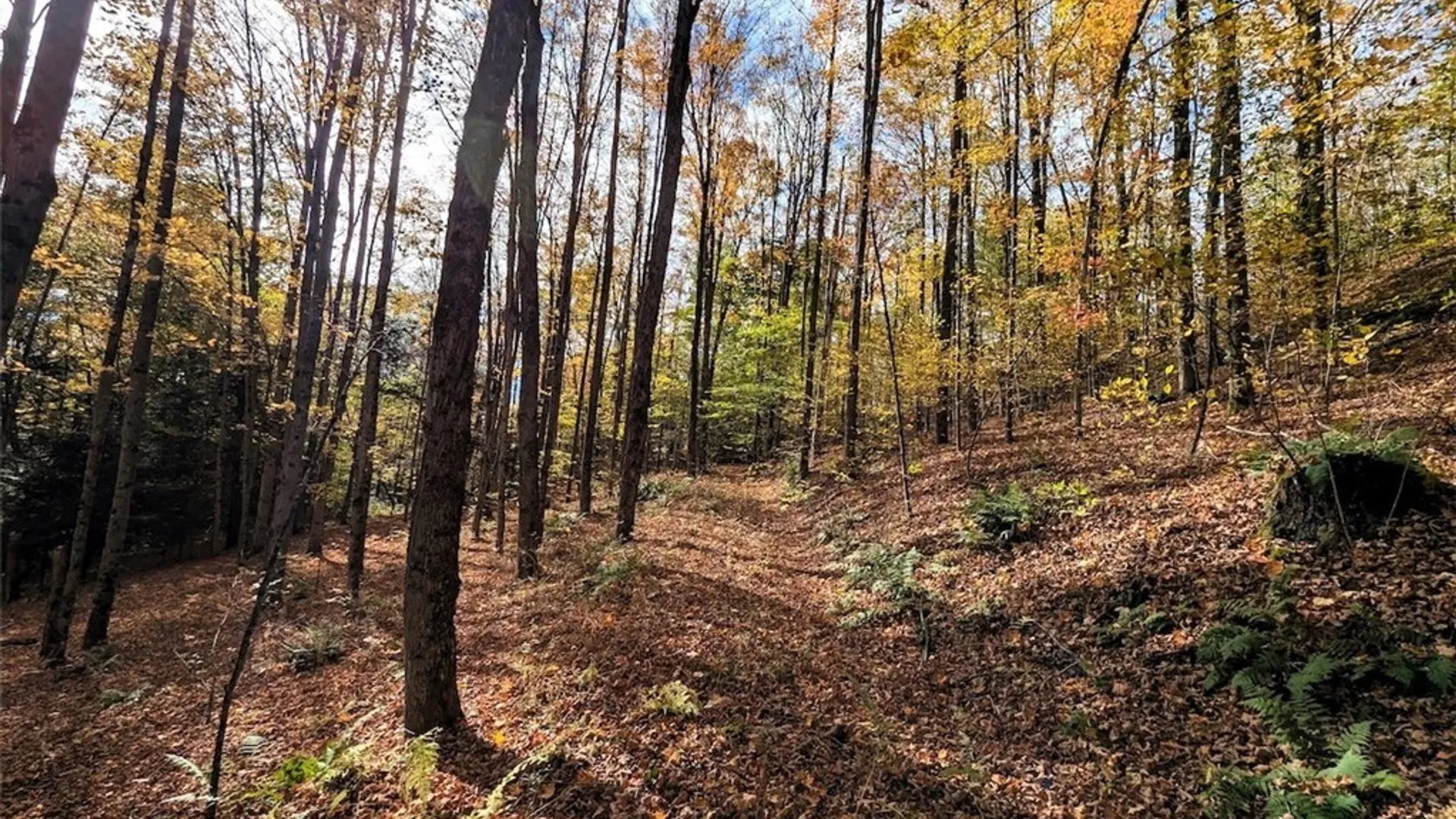 Property at Akins Road, Cohocton, NY 14826 5