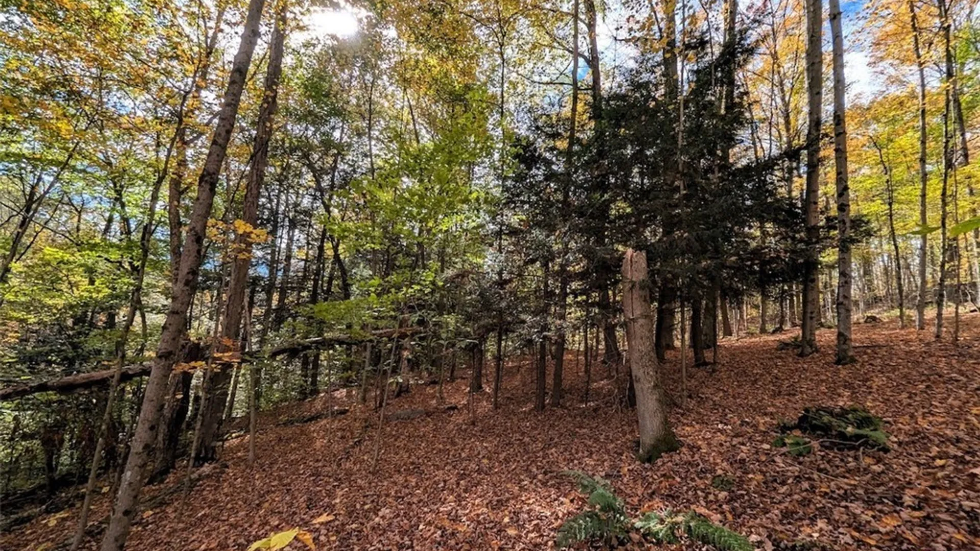 Property at Akins Road, Cohocton, NY 14826 6
