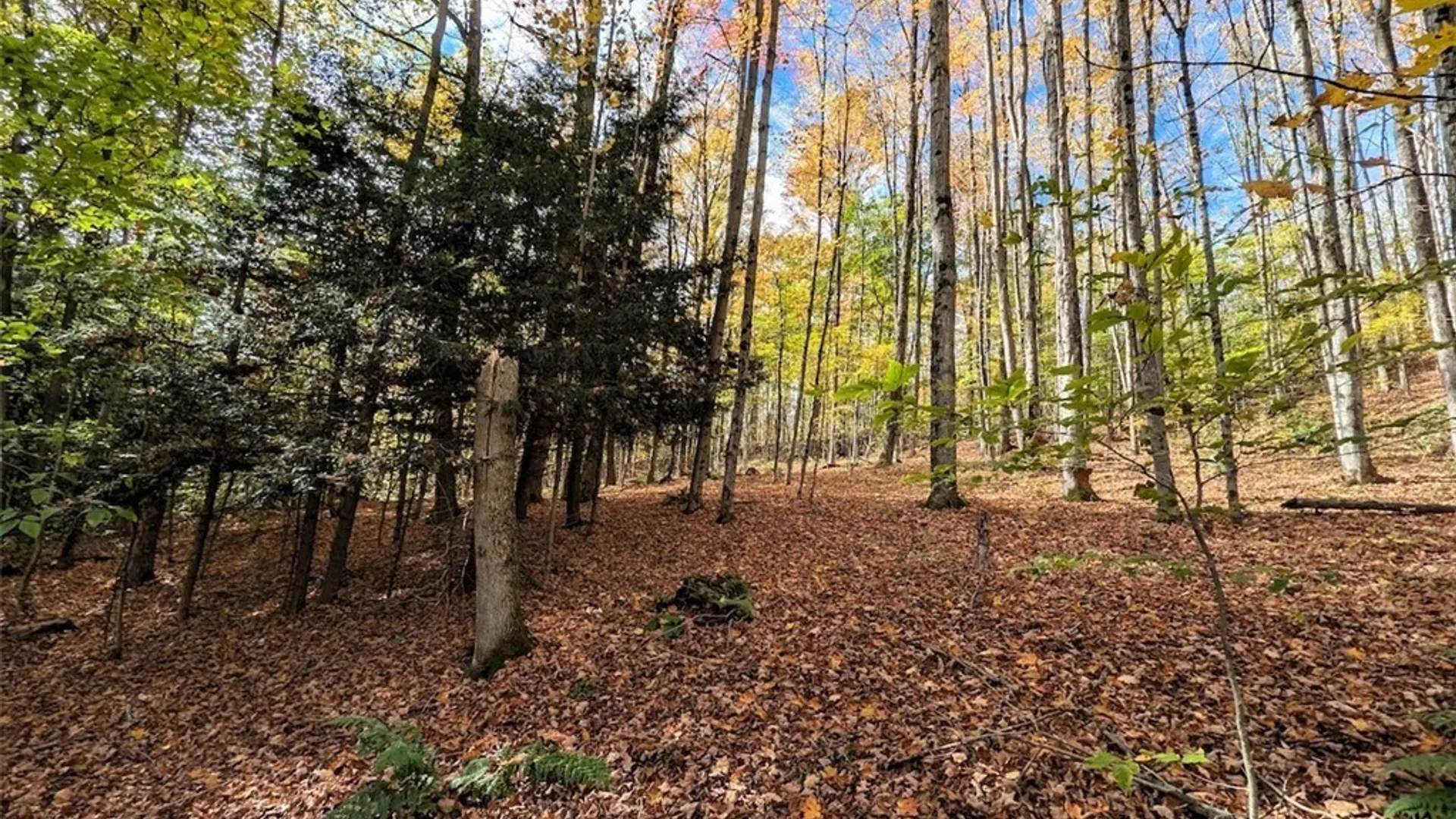Property at Akins Road, Cohocton, NY 14826 7
