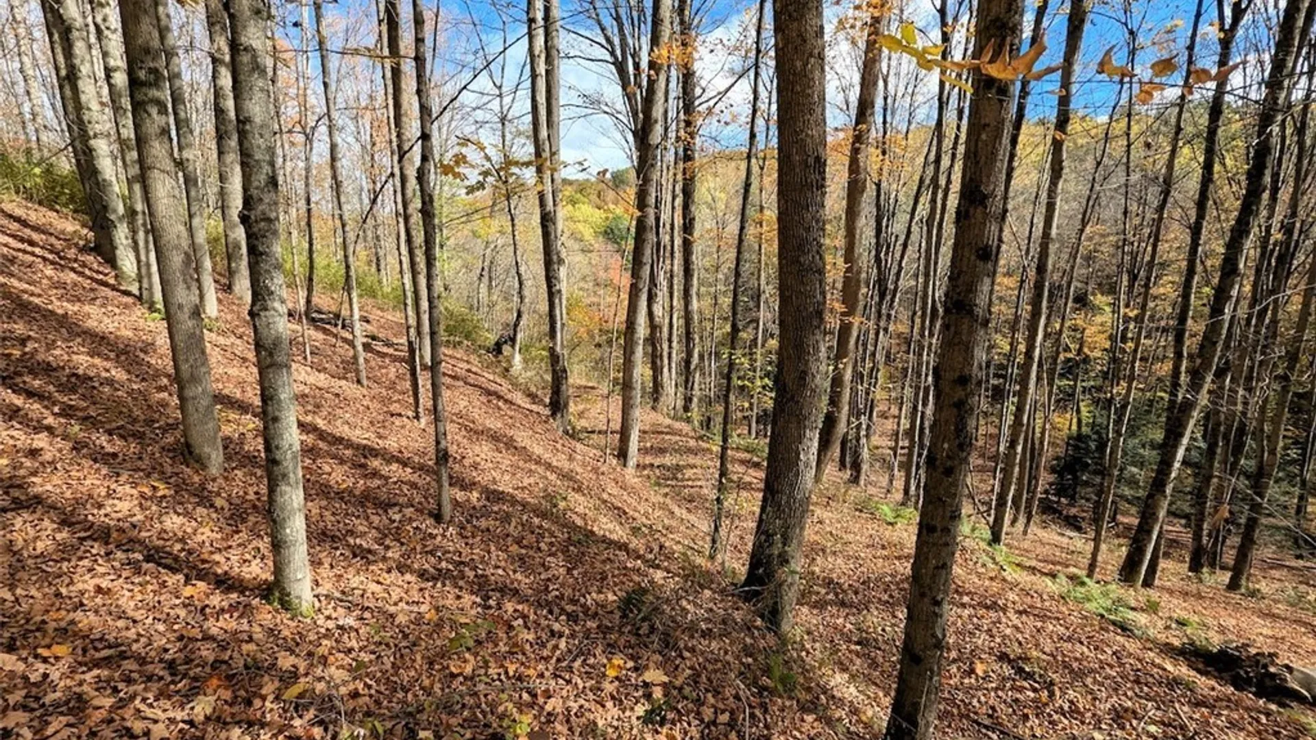 Property at Akins Road, Cohocton, NY 14826 9