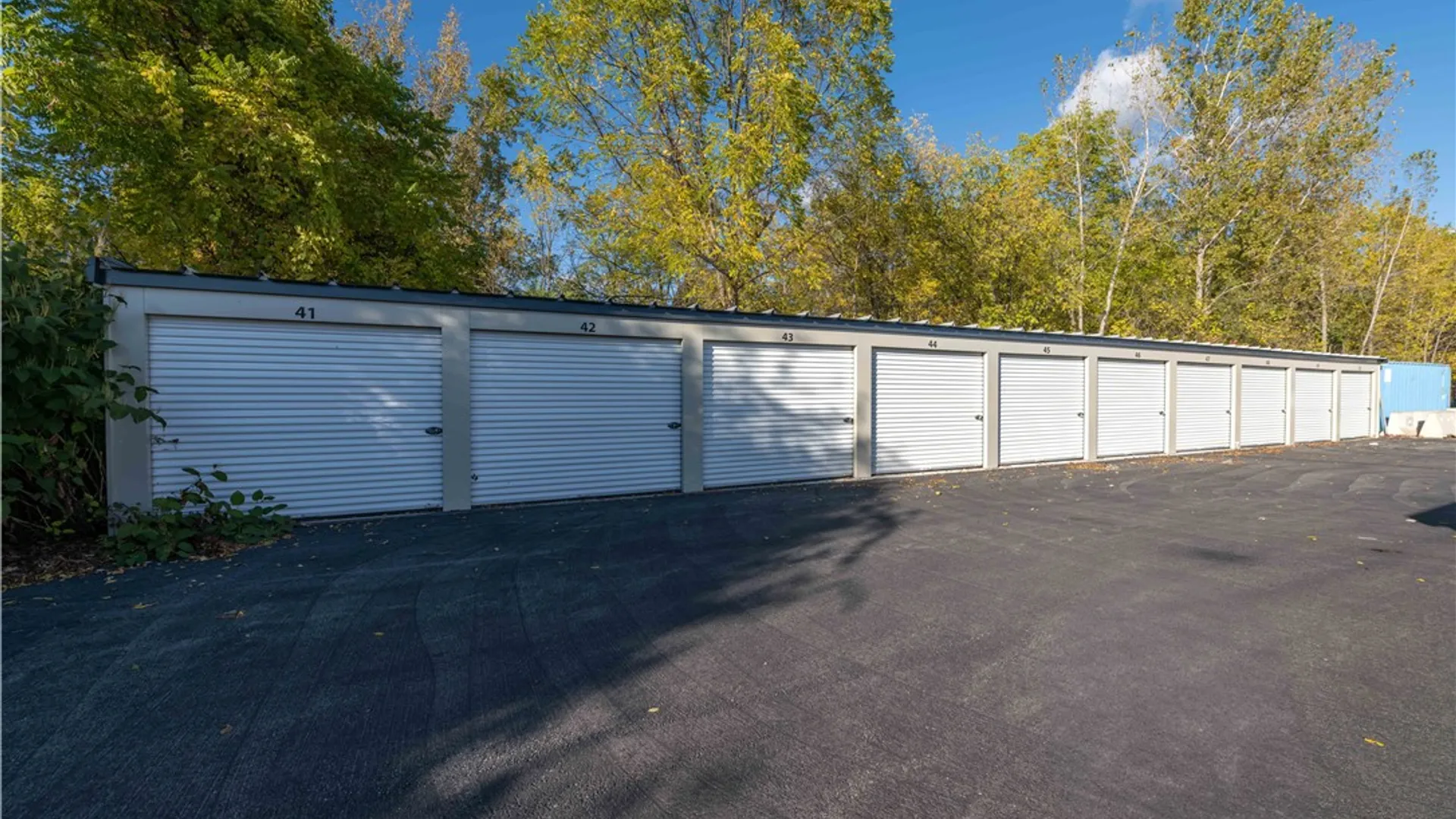 Property at 449 West Avenue, Albion, NY 14411 6