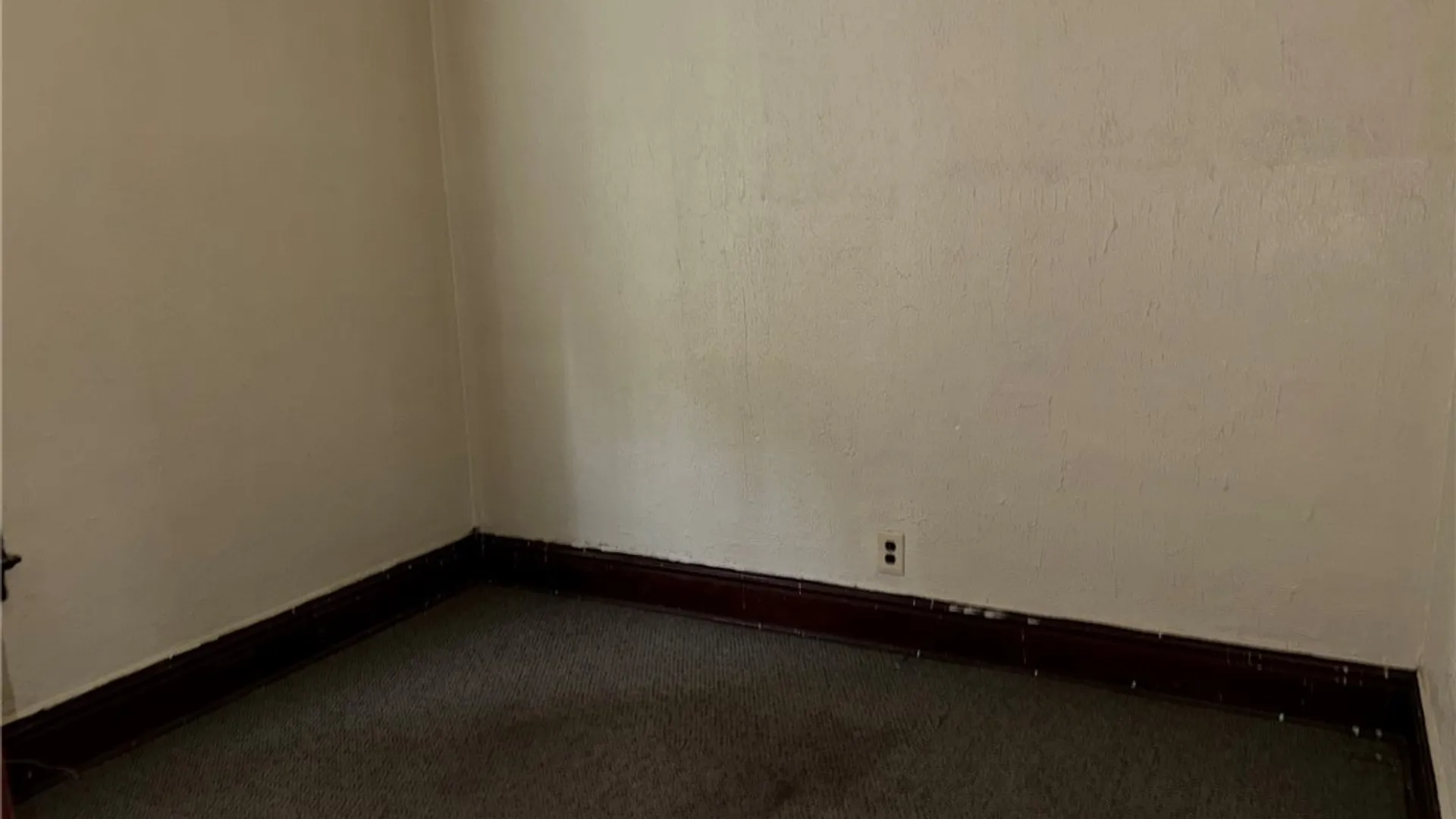 Property at 56 Albert Avenue, Buffalo, NY 14207 11