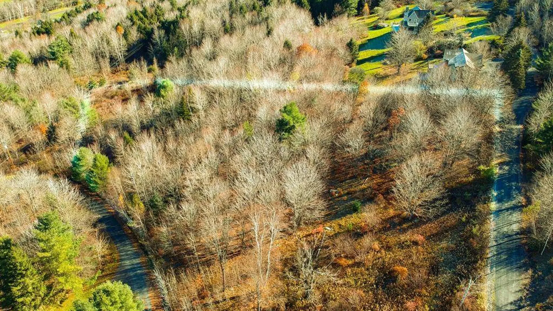 Property at L38 Panarama Ln, Windham, NY 12496 2