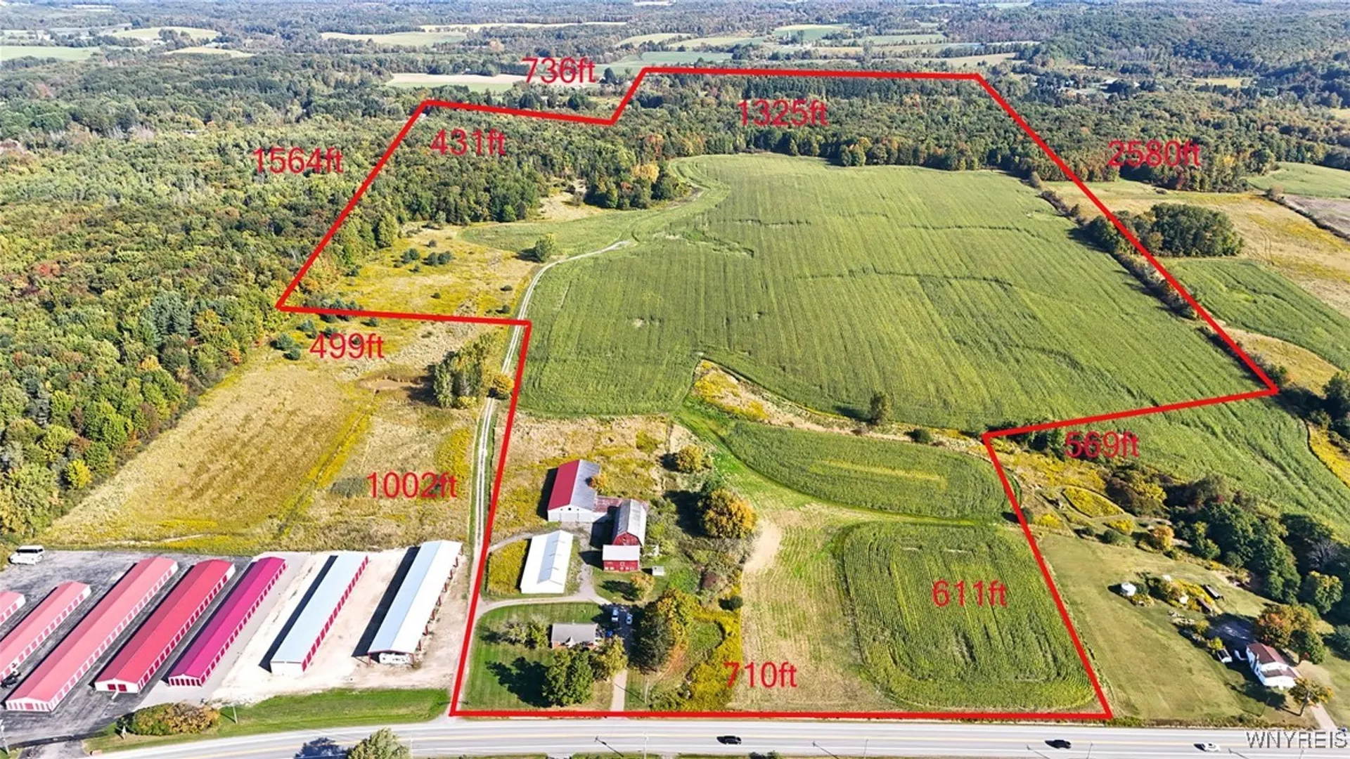 Property at 13050 Big Tree Rd Road, Wales, NY 14052 2