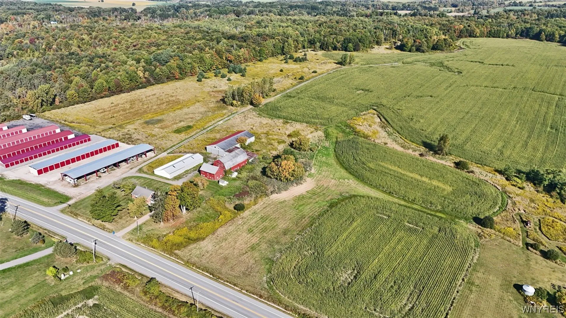 Property at 13050 Big Tree Rd Road, Wales, NY 14052 36