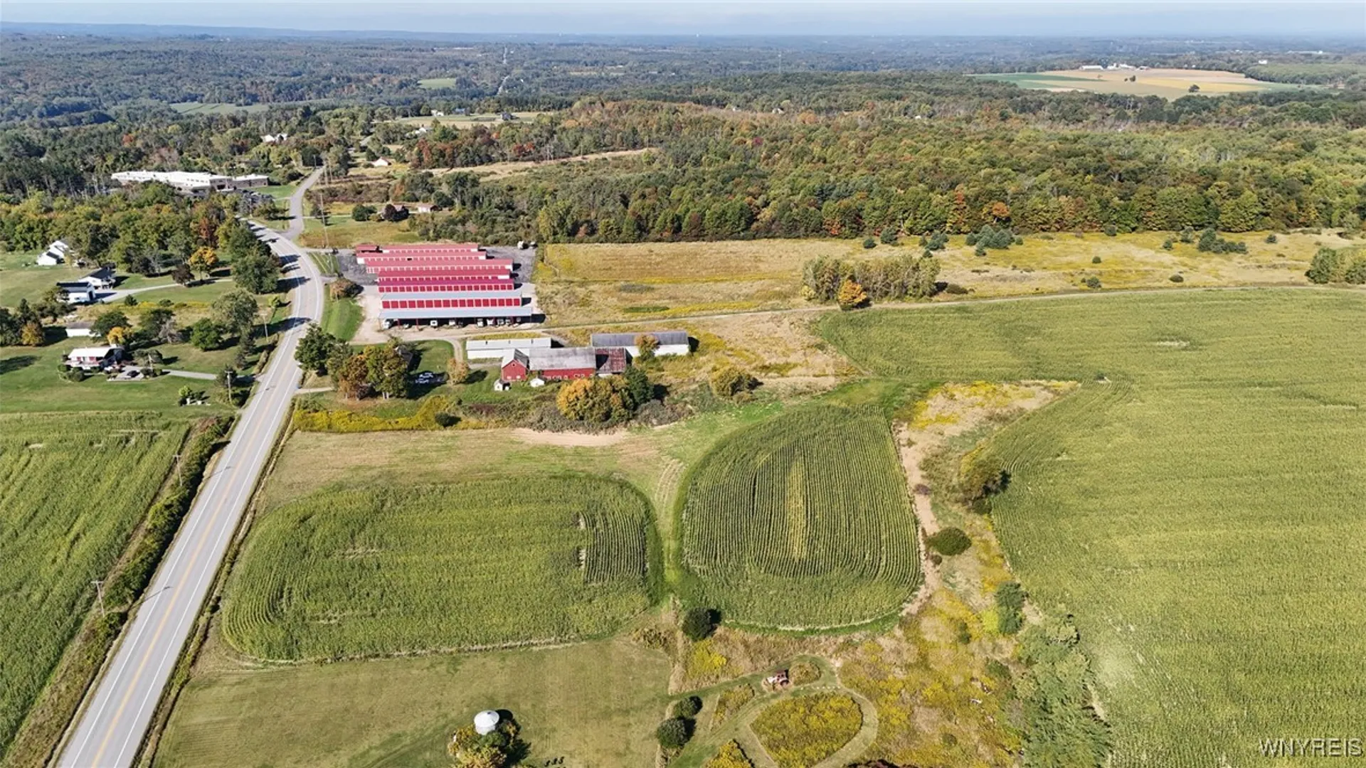 Property at 13050 Big Tree Rd Road, Wales, NY 14052 37