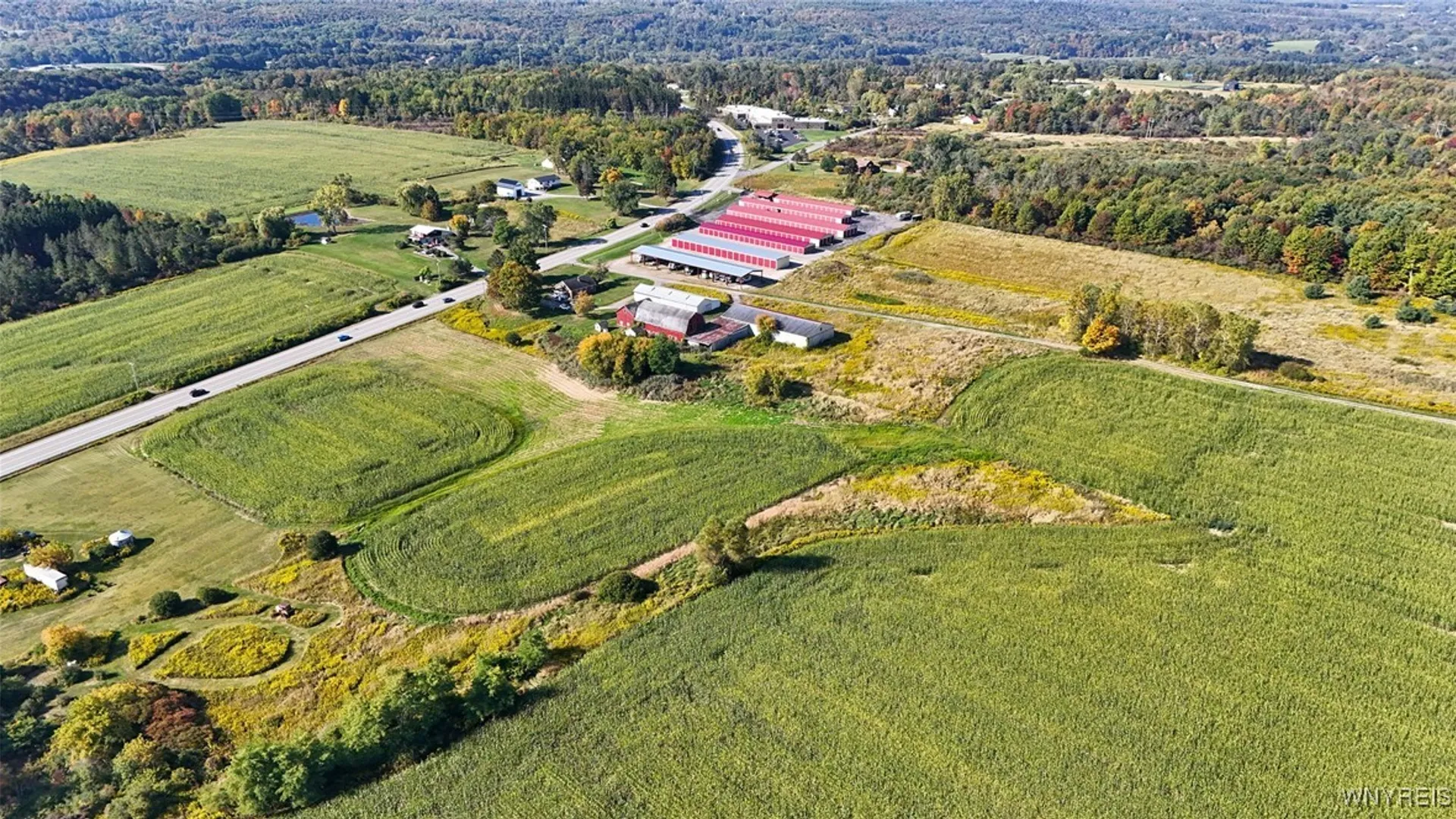 Property at 13050 Big Tree Rd Road, Wales, NY 14052 38