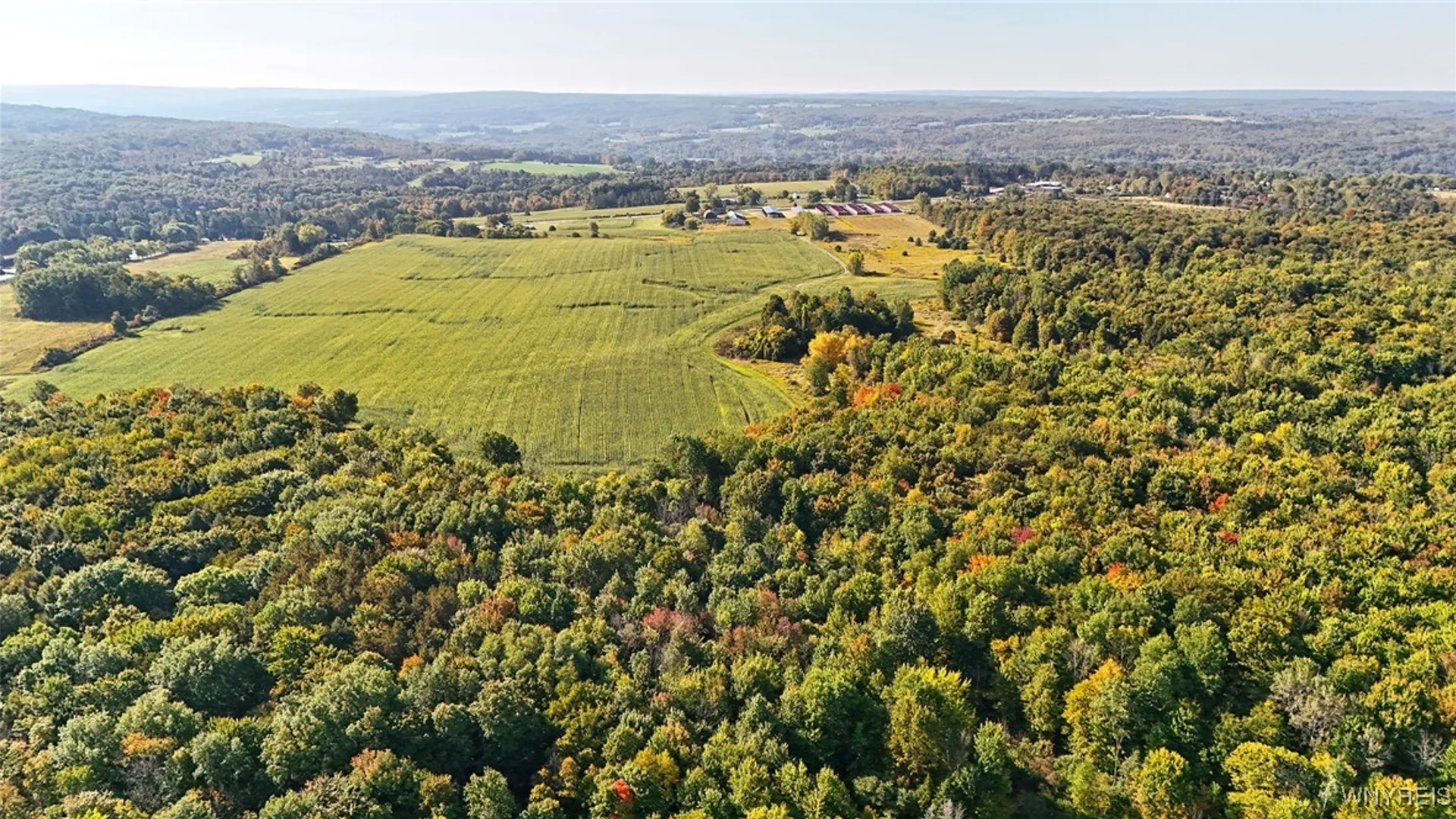 Property at 13050 Big Tree Rd Road, Wales, NY 14052 39