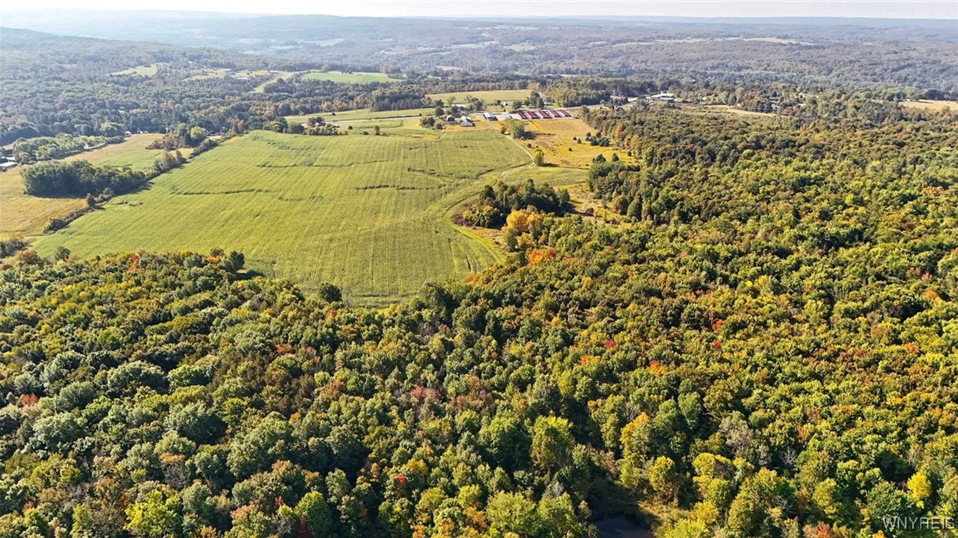 Property at 13050 Big Tree Rd Road, Wales, NY 14052 40