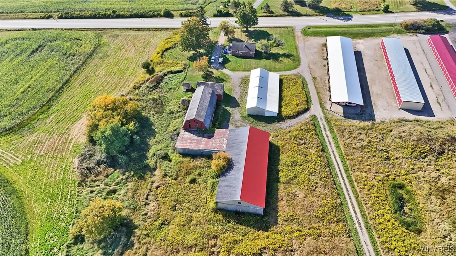 Property at 13050 Big Tree Rd Road, Wales, NY 14052 50
