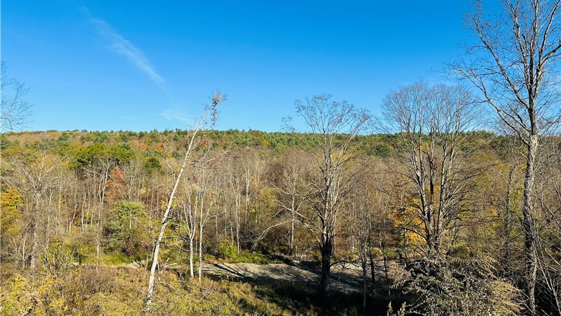 Property at 276 County Road 38, Bainbridge, NY 13733 15