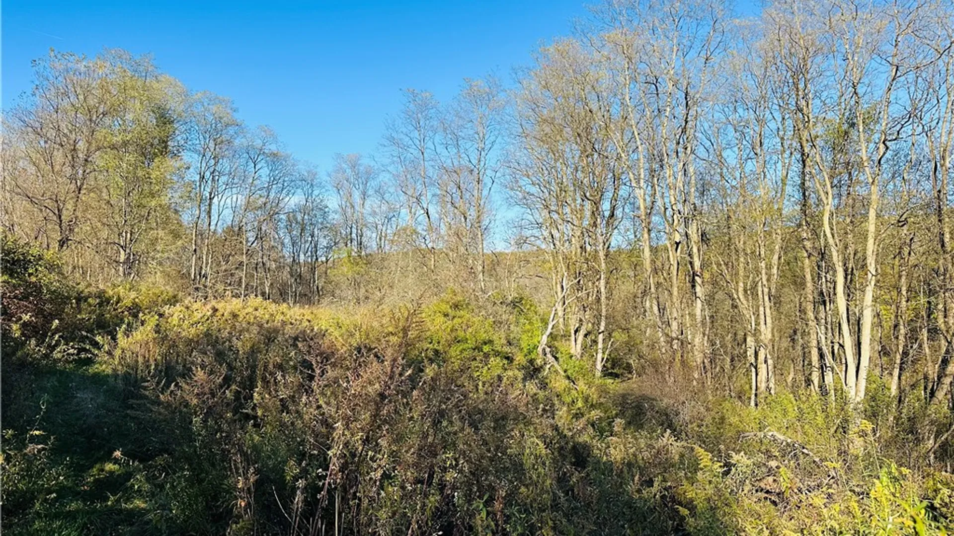 Property at 276 County Road 38, Bainbridge, NY 13733 17