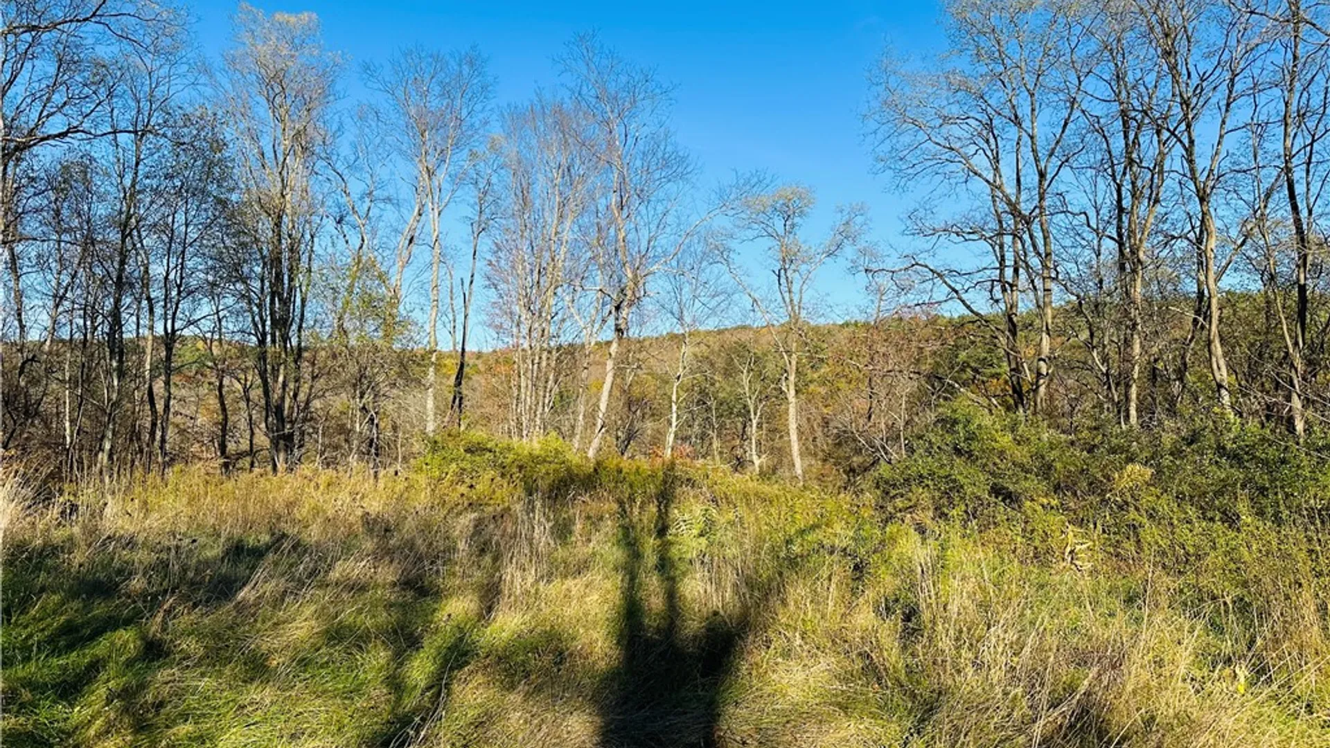 Property at 276 County Road 38, Bainbridge, NY 13733 18