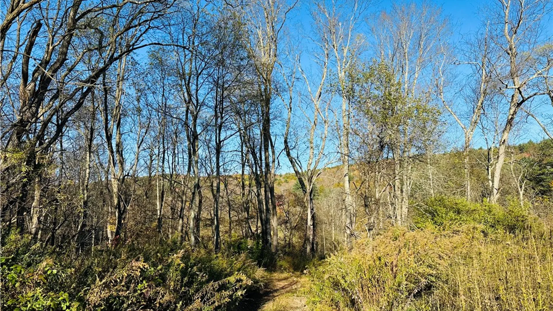 Property at 276 County Road 38, Bainbridge, NY 13733 19