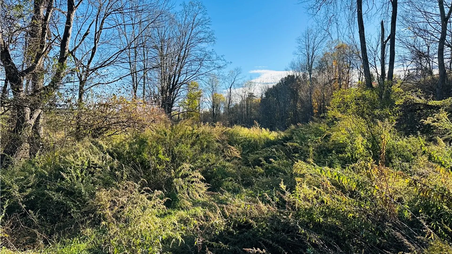 Property at 276 County Road 38, Bainbridge, NY 13733 20